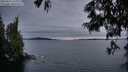 ./images/koeye/fitz-hugh/20250623/fitz-hugh20250623_220010M.jpg