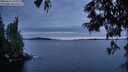 ./images/koeye/fitz-hugh/20250623/fitz-hugh20250623_221009M.jpg