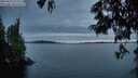 ./images/koeye/fitz-hugh/20250623/fitz-hugh20250623_221509M.jpg