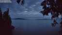 ./images/koeye/fitz-hugh/20250623/fitz-hugh20250623_224509M.jpg