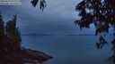 ./images/koeye/fitz-hugh/20250624/fitz-hugh20250624_044009M.jpg