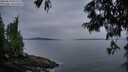 ./images/koeye/fitz-hugh/20250624/fitz-hugh20250624_051509M.jpg