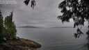 ./images/koeye/fitz-hugh/20250624/fitz-hugh20250624_055508M.jpg