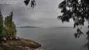 ./images/koeye/fitz-hugh/20250624/fitz-hugh20250624_061511M.jpg