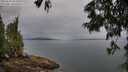 ./images/koeye/fitz-hugh/20250624/fitz-hugh20250624_063510M.jpg