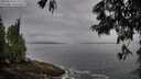 ./images/koeye/fitz-hugh/20250624/fitz-hugh20250624_065012M.jpg