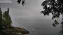 ./images/koeye/fitz-hugh/20250624/fitz-hugh20250624_074510M.jpg