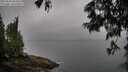 ./images/koeye/fitz-hugh/20250624/fitz-hugh20250624_083510M.jpg