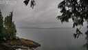 ./images/koeye/fitz-hugh/20250624/fitz-hugh20250624_090508M.jpg