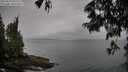 ./images/koeye/fitz-hugh/20250624/fitz-hugh20250624_093510M.jpg
