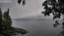 ./images/koeye/fitz-hugh/20250624/fitz-hugh20250624_094011M.jpg