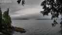 ./images/koeye/fitz-hugh/20250624/fitz-hugh20250624_100510M.jpg