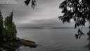 ./images/koeye/fitz-hugh/20250624/fitz-hugh20250624_101011M.jpg