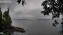 ./images/koeye/fitz-hugh/20250624/fitz-hugh20250624_102011M.jpg