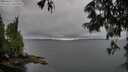 ./images/koeye/fitz-hugh/20250624/fitz-hugh20250624_112510M.jpg
