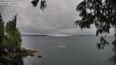 ./images/koeye/fitz-hugh/20250624/fitz-hugh20250624_120012M.jpg