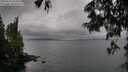 ./images/koeye/fitz-hugh/20250624/fitz-hugh20250624_124511M.jpg