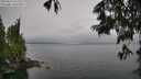 ./images/koeye/fitz-hugh/20250624/fitz-hugh20250624_132510M.jpg