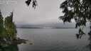 ./images/koeye/fitz-hugh/20250624/fitz-hugh20250624_133011M.jpg