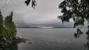 ./images/koeye/fitz-hugh/20250624/fitz-hugh20250624_133510M.jpg