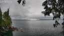 ./images/koeye/fitz-hugh/20250624/fitz-hugh20250624_134010M.jpg