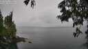 ./images/koeye/fitz-hugh/20250624/fitz-hugh20250624_140013M.jpg
