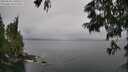 ./images/koeye/fitz-hugh/20250624/fitz-hugh20250624_140511M.jpg