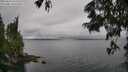 ./images/koeye/fitz-hugh/20250624/fitz-hugh20250624_144511M.jpg