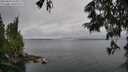 ./images/koeye/fitz-hugh/20250624/fitz-hugh20250624_145009M.jpg