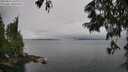 ./images/koeye/fitz-hugh/20250624/fitz-hugh20250624_150011M.jpg