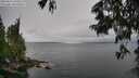 ./images/koeye/fitz-hugh/20250624/fitz-hugh20250624_150506M.jpg