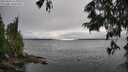 ./images/koeye/fitz-hugh/20250624/fitz-hugh20250624_153011M.jpg