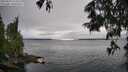./images/koeye/fitz-hugh/20250624/fitz-hugh20250624_153509M.jpg