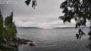 ./images/koeye/fitz-hugh/20250624/fitz-hugh20250624_154010M.jpg