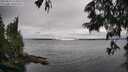 ./images/koeye/fitz-hugh/20250624/fitz-hugh20250624_154511M.jpg