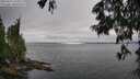 ./images/koeye/fitz-hugh/20250624/fitz-hugh20250624_155510M.jpg