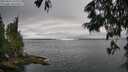 ./images/koeye/fitz-hugh/20250624/fitz-hugh20250624_160010M.jpg