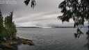 ./images/koeye/fitz-hugh/20250624/fitz-hugh20250624_160509M.jpg