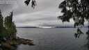 ./images/koeye/fitz-hugh/20250624/fitz-hugh20250624_162012M.jpg