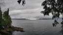 ./images/koeye/fitz-hugh/20250624/fitz-hugh20250624_163012M.jpg