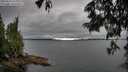 ./images/koeye/fitz-hugh/20250624/fitz-hugh20250624_165011M.jpg