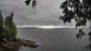 ./images/koeye/fitz-hugh/20250624/fitz-hugh20250624_174510M.jpg