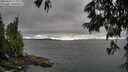 ./images/koeye/fitz-hugh/20250624/fitz-hugh20250624_175012M.jpg