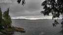 ./images/koeye/fitz-hugh/20250624/fitz-hugh20250624_175510M.jpg