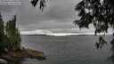 ./images/koeye/fitz-hugh/20250624/fitz-hugh20250624_180013M.jpg