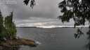 ./images/koeye/fitz-hugh/20250624/fitz-hugh20250624_181011M.jpg