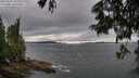 ./images/koeye/fitz-hugh/20250624/fitz-hugh20250624_182508M.jpg