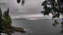 ./images/koeye/fitz-hugh/20250624/fitz-hugh20250624_183510M.jpg