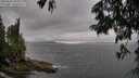 ./images/koeye/fitz-hugh/20250624/fitz-hugh20250624_184010M.jpg