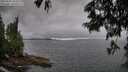 ./images/koeye/fitz-hugh/20250624/fitz-hugh20250624_185012M.jpg